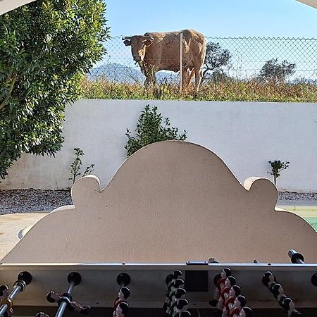 Portela Guesthouse Cercal do Alentejo Kültér fotó