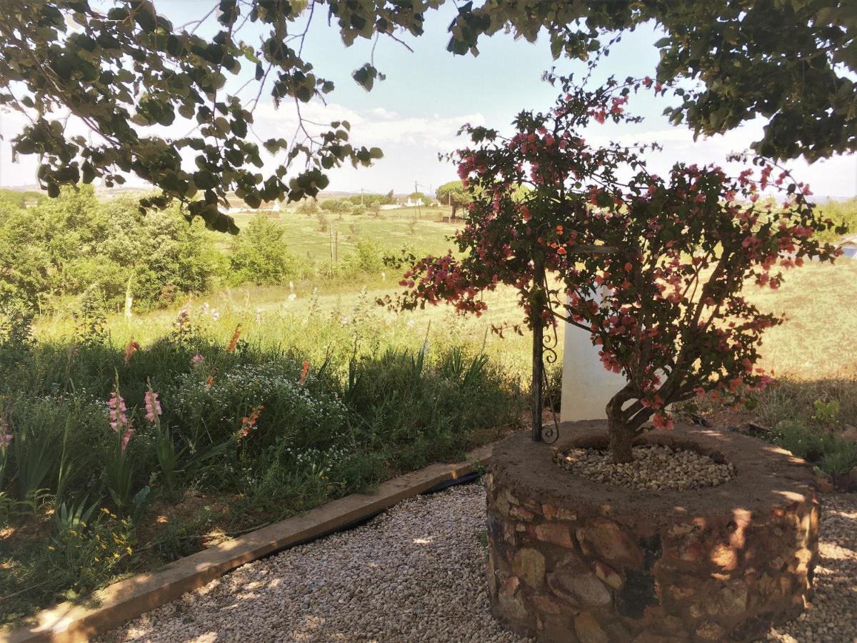 Portela Guesthouse Cercal do Alentejo Kültér fotó