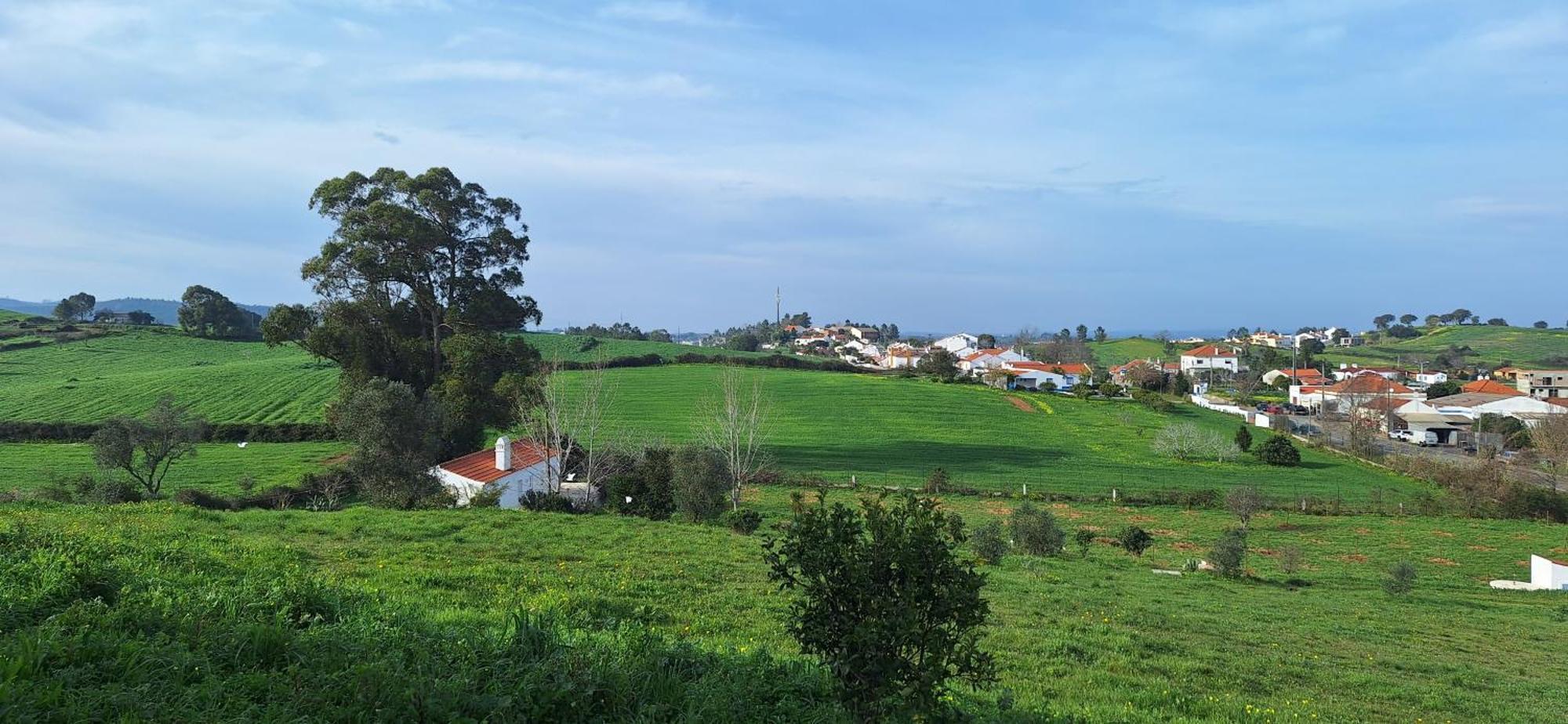 Portela Guesthouse Cercal do Alentejo Kültér fotó