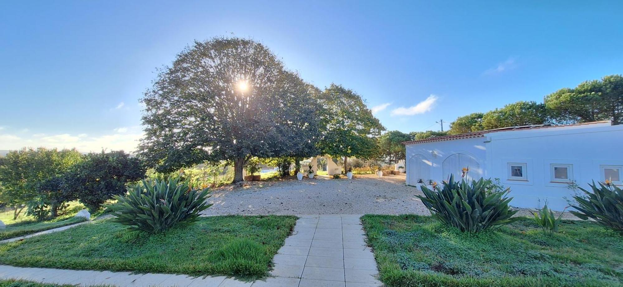Portela Guesthouse Cercal do Alentejo Kültér fotó